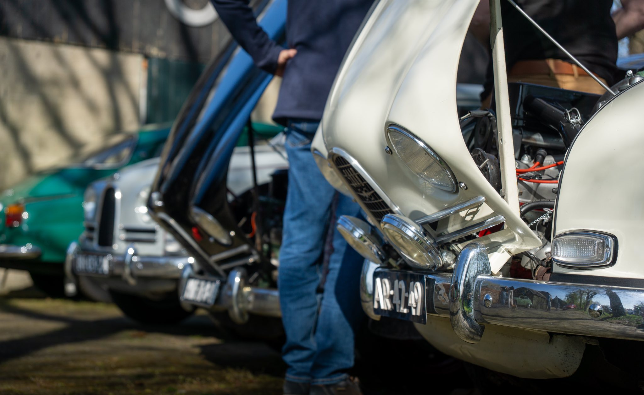 490303566_1148675787058286_3763581636782382220_n